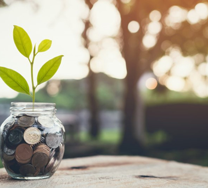 Jar of coins with a plant sprouting out of it